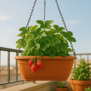 Macetero colgante en un balcón con fresas rojas y hojas verdes, ejemplo de cultivar fresas en casa