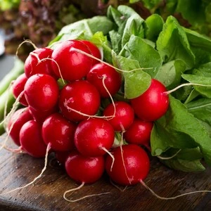 Rábanos recién recogidos listos para consumo