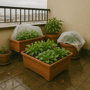 Macetas con canónigos y rúcula protegidas en una terraza húmeda en diciembre