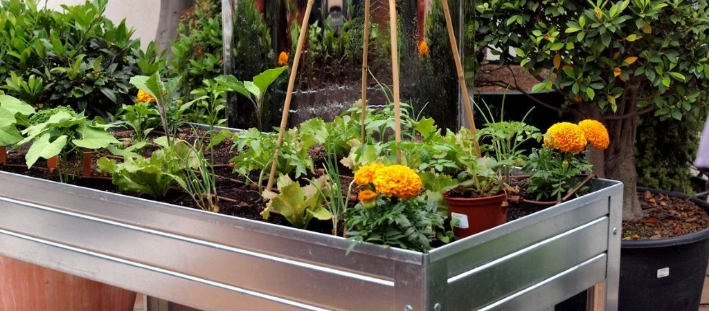 Las 5 mejores mesas de cultivo para tu huerto en casa: guía completa 🌿