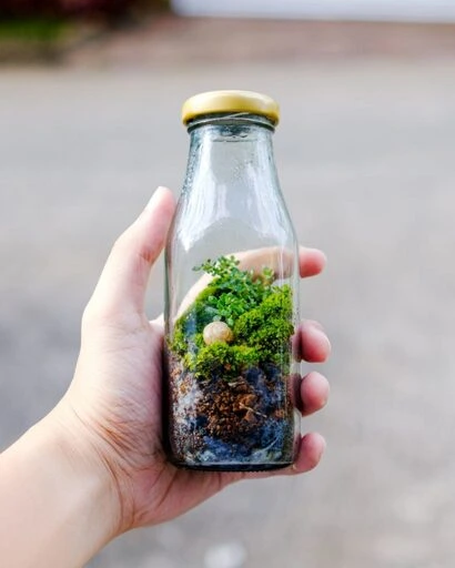 frasco de vidrio con restos vegetales en agua