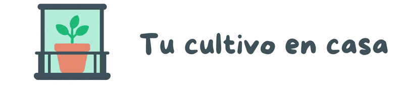Tu Cultivo en Casa | Huertos urbanos en balcones, terrazas y jardines